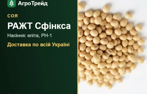 Соя РАЖТ Сфінкса — насіння