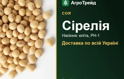 Насіння сої Сірелія