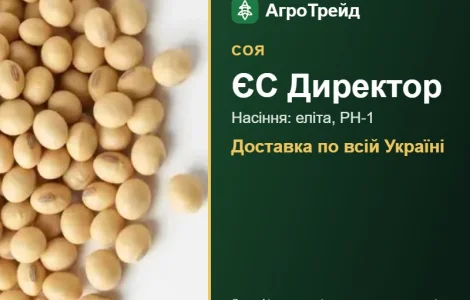 ЄС Директор — соя, насіння