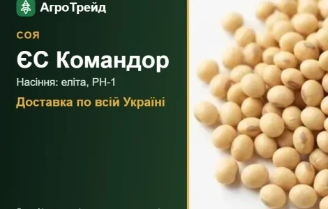 Соя ЄС Командор — насіння