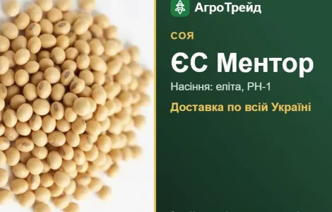 Соя ЄС Ментор — насіння