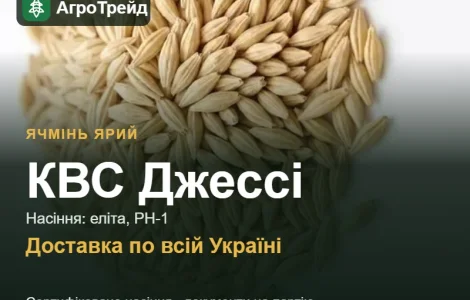 Насіння ярого ячменю КВС Джессі