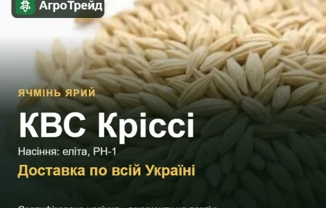 Семена: ячмень яровой КВС Крисси