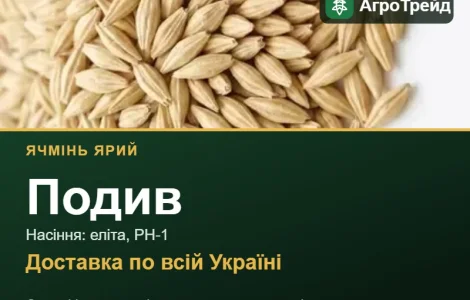 Купить ячмень яровой Подив на посев