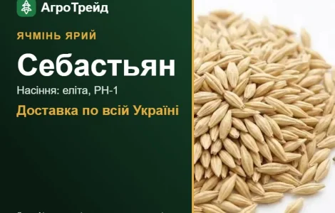 Себастьян — ярий ячмінь, насіння, від 16 700 грн/т