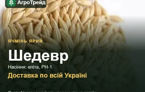 Ячмень яркий Шедевр — семена