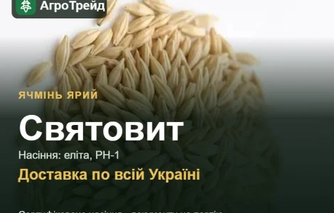 Насіння ярого ячменю Святовит