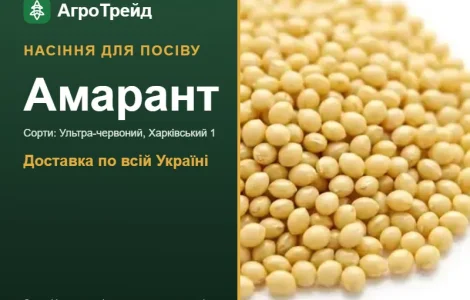 Продам насіння амаранту