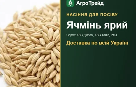 Продам насіння ярого ячменю