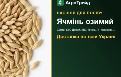 Продам насіння озимого ячменю