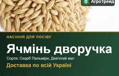 Продам насіння ячменю дворучки
