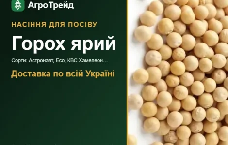 Продам семена ярового гороха