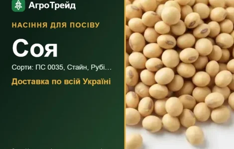 Продам насіння сої