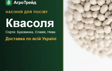 Продам семена фасоли