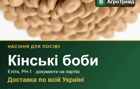 Продам насіння кінських бобів