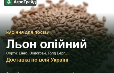Продам насіння олійного льону