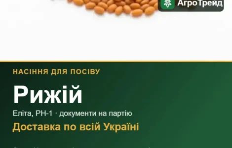 Продам насіння рижію
