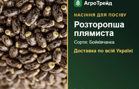 Продам насіння розторопші плямистої
