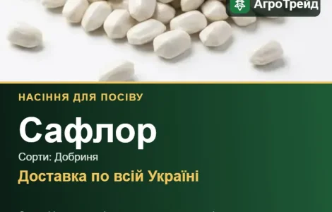 Продам насіння сафлору