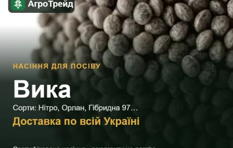 Продам насіння вики