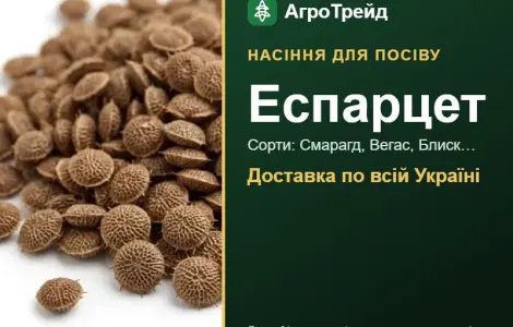 Продам семена эспарцета