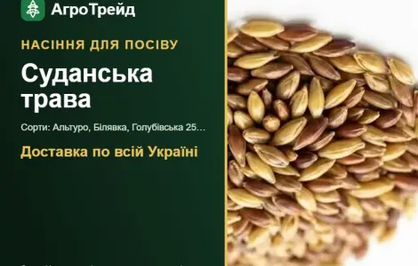 Продам насіння суданської трави