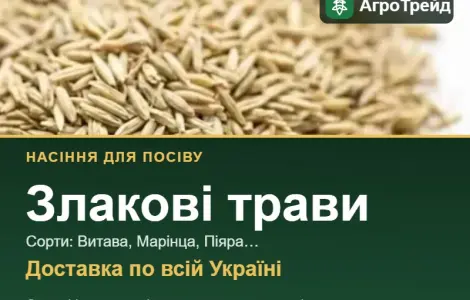 Продам семена злаковых трав