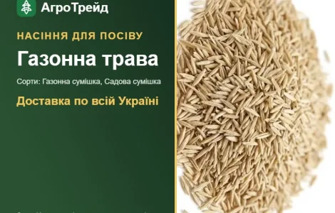 Продам насіння газонної трави
