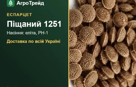 Семена эспарцета Песчаный 1251
