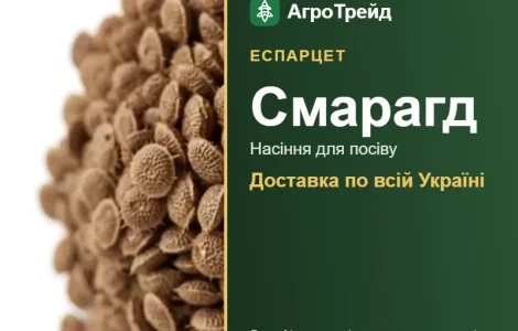 Продам семена эспарцета Смарагд