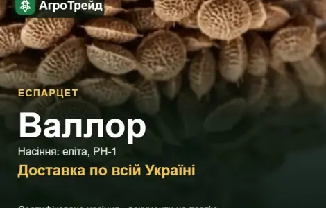 Продам семена эспарцета Валлор