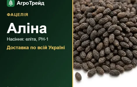 Фацелія Аліна