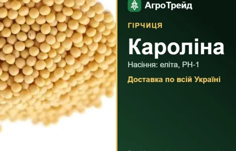 Гірчиця Кароліна — насіння