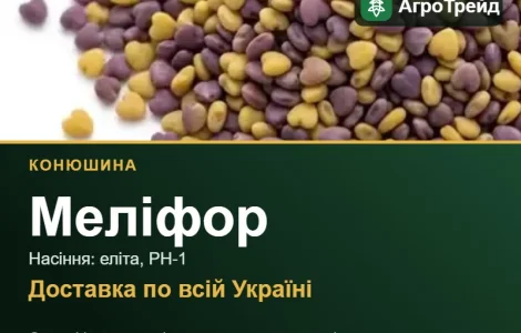 Конюшина Меліфор