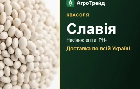 Квасоля Славия — семена
