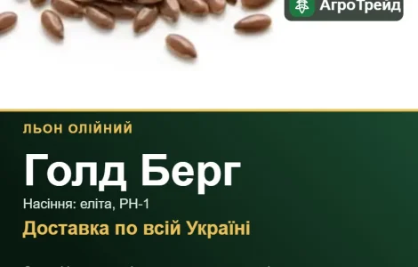 Купити насіння олійного льону Голд Берг
