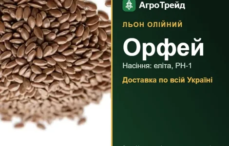 Орфей — льон олійний, насіння