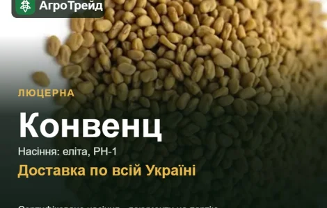 Люцерна Конвенц