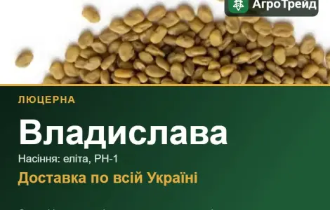 Люцерна Владислава