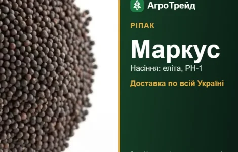 Маркус — рапс, семена