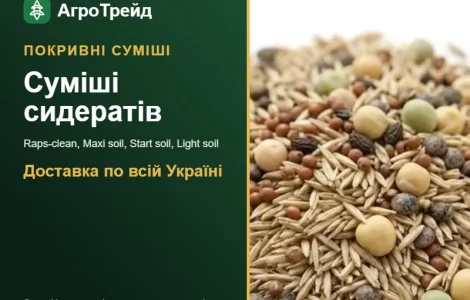 Покрывные смеси сидератов — семена