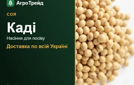 Каді — соя, насіння