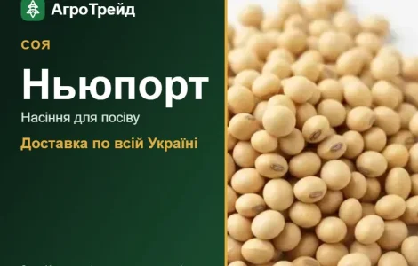 Насіння сої Ньюпорт