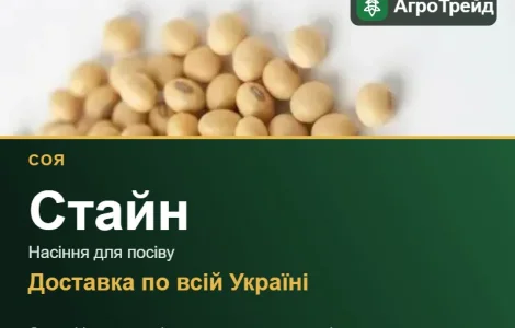 Продам насіння сої Стайн