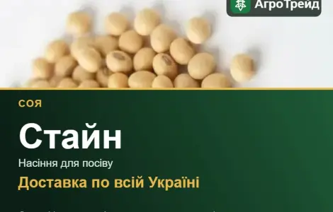 Продам насіння сої Стайн