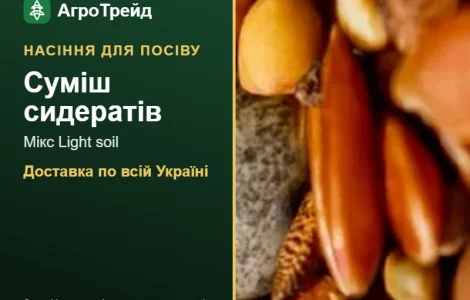Суміш сидератів Мікс Light soil — насіння