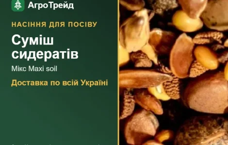 Продам: суміш сидератів Мікс Maxi soil