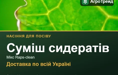 Суміш сидератів Мікс Raps-clean — насіння