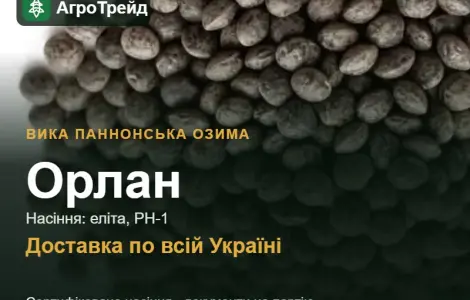 Орлан — паннонская озимая вика, семена
