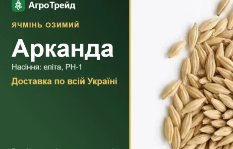 Насіння озимого ячменю Арканда
